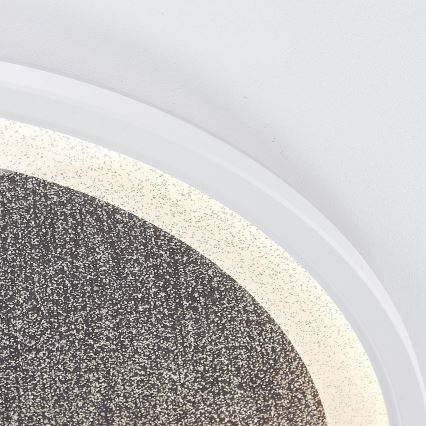 Brilliant - LED loftlampe dæmpbar TANIDA LED/31W/230V 3000-6500K + fjernbetjening