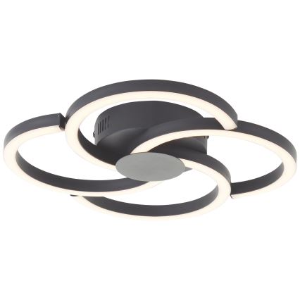 Brilliant - LED loftlampe FICO LED/22W/230V diameter 34 cm sort