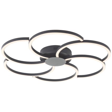 Brilliant - LED loftlampe dæmpbar FICO LED/32W/230V 3000-6500K diameter 65 cm sort + fjernbetjening
