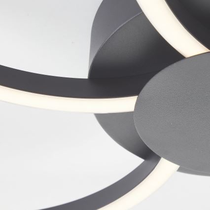 Brilliant - LED loftlampe dæmpbar FICO LED/32W/230V 3000-6500K diameter 65 cm sort + fjernbetjening