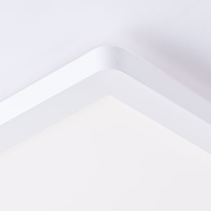 Brilliant - LED loftlampe MILTON LED/24W/230V 42x42 cm hvid