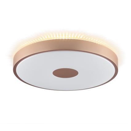 Brilliant - LED loftlampe TAVIS LED/24W/230V Ø 44,5 cm rosaguld