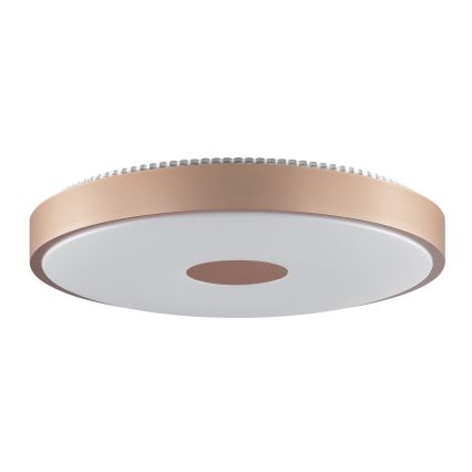 Brilliant - LED loftlampe TAVIS LED/24W/230V Ø 44,5 cm rosaguld