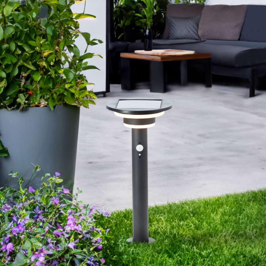 Brilliant - LED solcellelampe med sensor GARVINA LED/3W/3,7V 45 cm IP44 sort