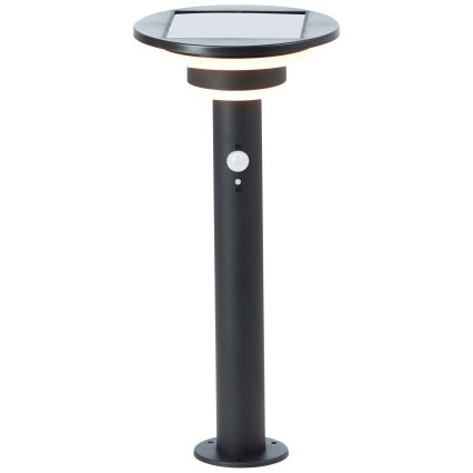 Brilliant - LED solcellelampe med sensor GARVINA LED/3W/3,7V 45 cm IP44 sort