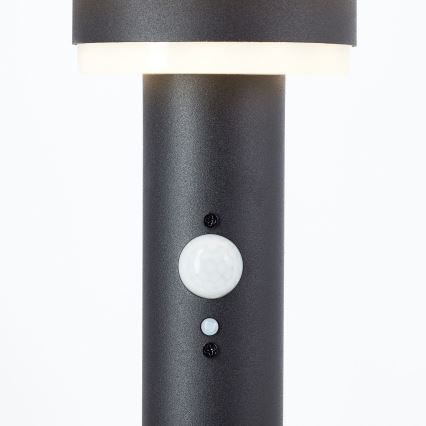 Brilliant - LED solcellelampe med sensor GARVINA LED/3W/3,7V 45 cm IP44 sort