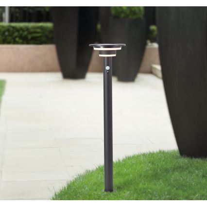 Brilliant - LED solcellelampe med sensor GARVINA LED/3W/3,7V 85 cm IP44 sort