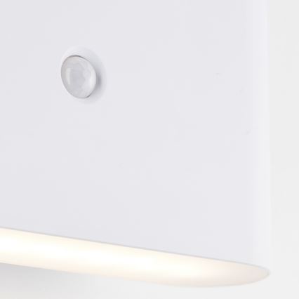 Brilliant - Udendørs LED væglampe med sensor genopladelig XINO LED/3W/5V IP44 hvid