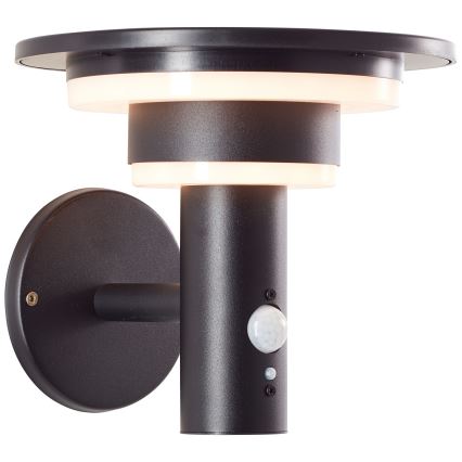 Brilliant - Soldrevet LED væglampe med sensor GARVINA LED/3W/3,7V IP44 sort