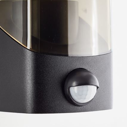 Brilliant - Udendørs væglampe med sensor MINOU 1xE27/10W/230V IP44 sort/røget