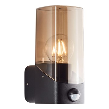 Brilliant - Udendørs væglampe med sensor MINOU 1xE27/10W/230V IP44 sort/røget
