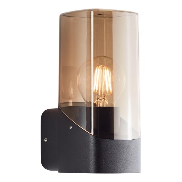 Brilliant - Udendørs væglampe MINOU 1xE27/10W/230V IP44 sort/røget