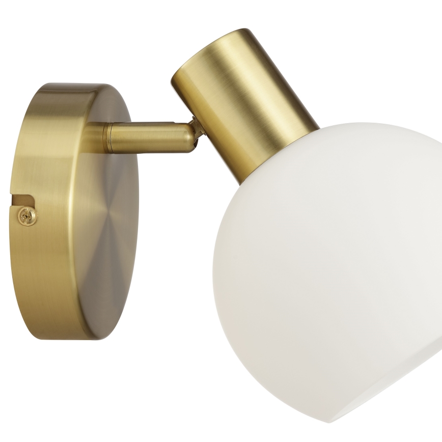 Brilliant - Væghængt spotlampe CONY 1xE14/20W/230V messing