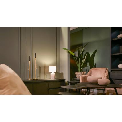 Brilo - Bordlampe INO 1xE14/10W/230V brun