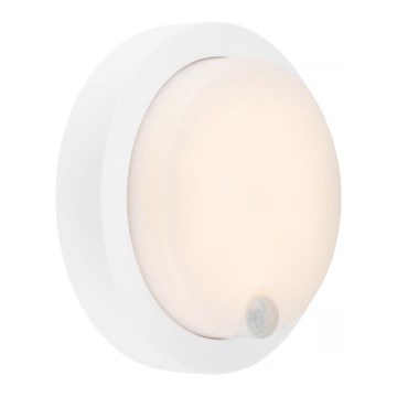 Brilo - Genopladelig LED-væglampe til udendørs brug med sensor, 4 W/5 V, 4400 mAh, IP44, hvid