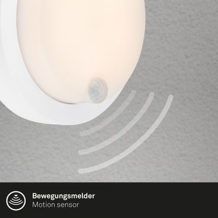 Brilo - Genopladelig LED-væglampe til udendørs brug med sensor, 4 W/5 V, 4400 mAh, IP44, hvid