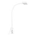 Brilo - LED Fleksibel bordlampe med klemme TRASNA LED/7,5W/230V hvid