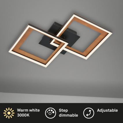 Brilo - LED loftlampe dæmpbar FRAME 2xLED/11W/230V