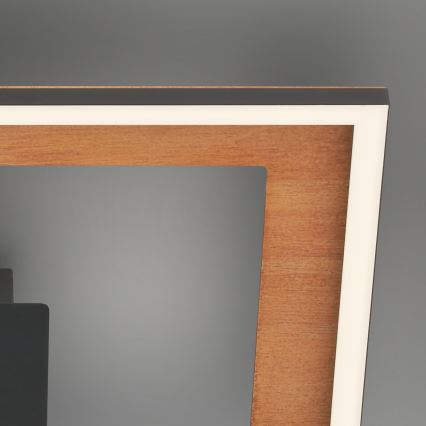 Brilo - LED loftlampe dæmpbar FRAME 2xLED/11W/230V