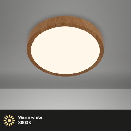 Brilo - LED loftlampe RUNA LED/12W/230V
