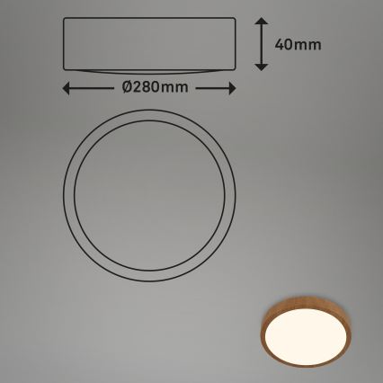 Brilo - LED loftlampe RUNA LED/12W/230V