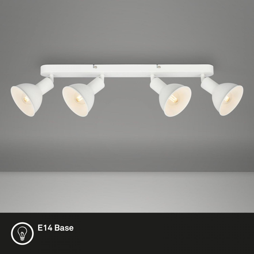 Brilo - Spotlampe RETRO 4xE14/25W/230V hvid