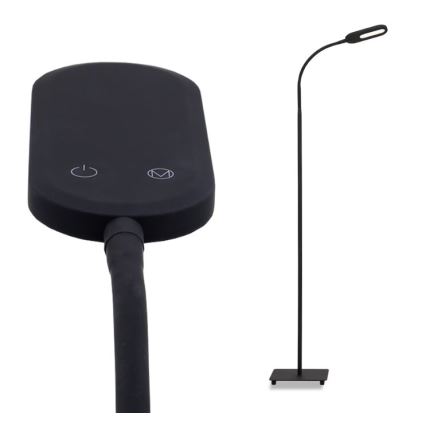 Briloner 1297-015 - LED Dæmpbar fleksibel gulvlampe LED/6,6W/230V 3000K/4000K/6000K