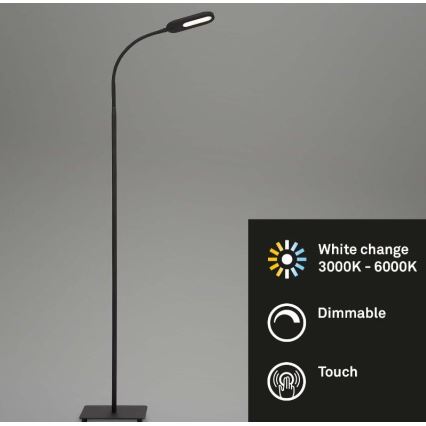Briloner 1297-015 - LED Dæmpbar fleksibel gulvlampe LED/6,6W/230V 3000K/4000K/6000K