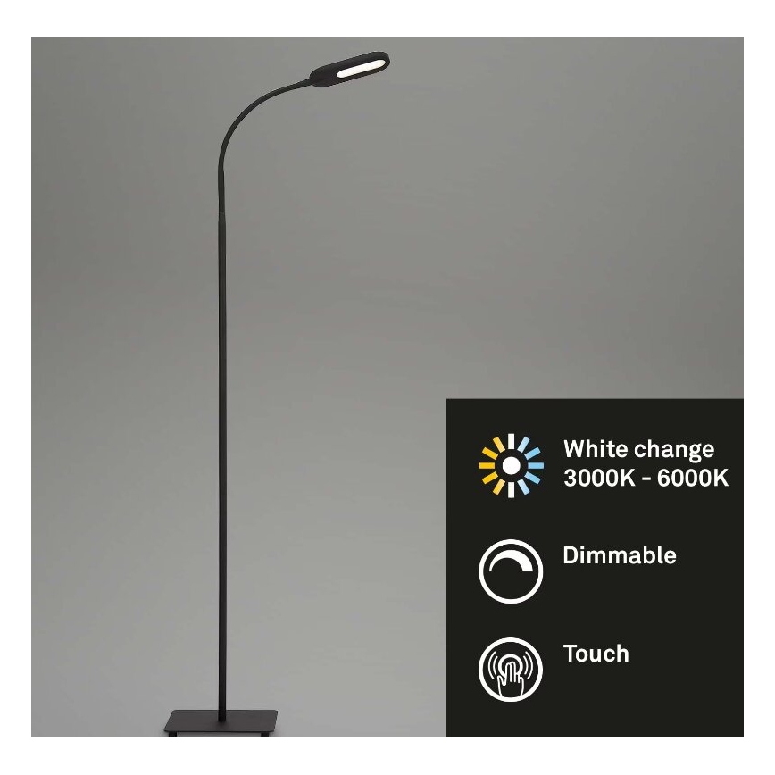 Briloner 1297-015 - LED Dæmpbar fleksibel gulvlampe LED/6,6W/230V 3000K/4000K/6000K