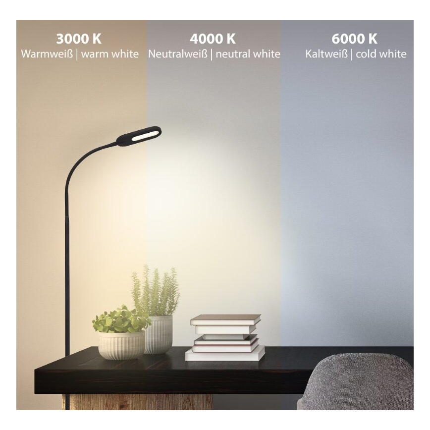 Briloner 1297-015 - LED Dæmpbar fleksibel gulvlampe LED/6,6W/230V 3000K/4000K/6000K