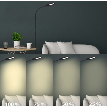 Briloner 1297-015 - LED Dæmpbar fleksibel gulvlampe LED/6,6W/230V 3000K/4000K/6000K