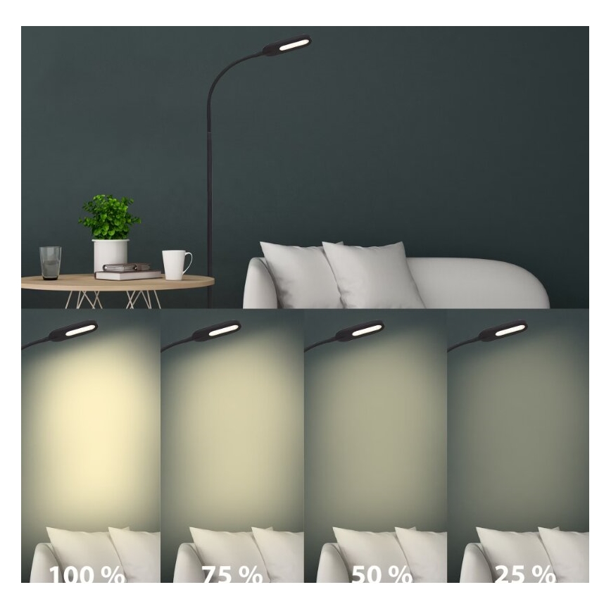 Briloner 1297-015 - LED Dæmpbar fleksibel gulvlampe LED/6,6W/230V 3000K/4000K/6000K