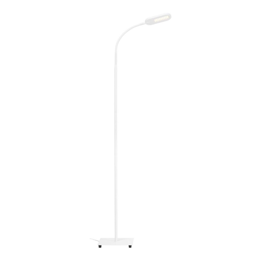 Briloner 1297-016 - LED Dæmpbar touch-funktion gulvlampe LED/8W/230V 3000/4000/6000K