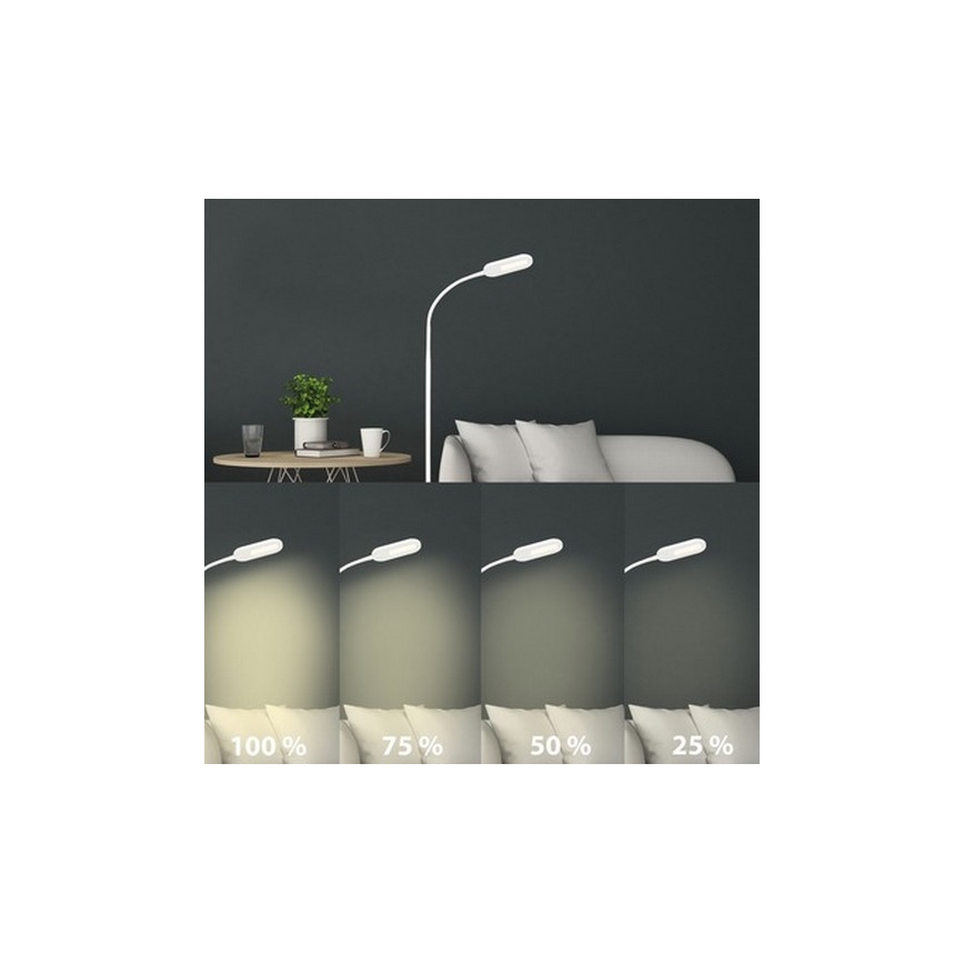 Briloner 1297-016 - LED Dæmpbar touch-funktion gulvlampe LED/8W/230V 3000/4000/6000K