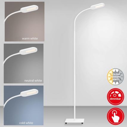 Briloner 1297-016 - LED Dæmpbar touch-funktion gulvlampe LED/8W/230V 3000/4000/6000K