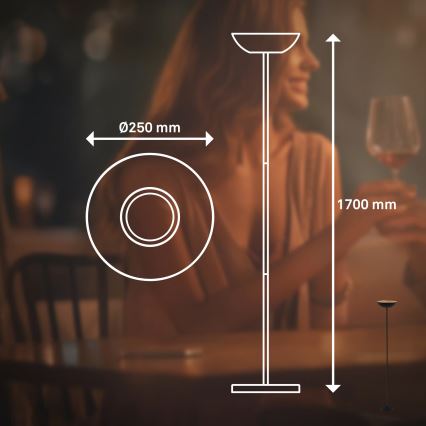 Briloner 1500015 - Dæmpbar LED-gulvlampe ESTATE LED/8W/5V 4000 mAh sort