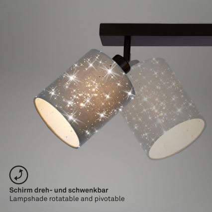 Briloner 2078-034 - Spotlampe SPOTLIGHT 3xE27/25W/230V grå/sort