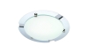 Briloner 2120-018 - Badeværelses loftslampe SPLASH 1xE27/60W/230V IP23