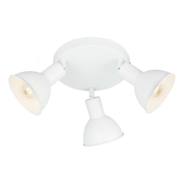 Briloner 2674-036 - Spotlampe RETRO 3xE14/25W/230V hvid