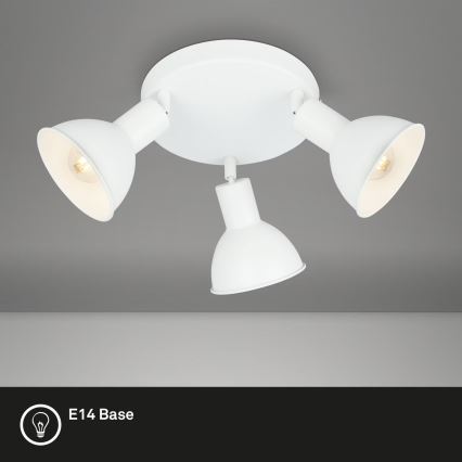 Briloner 2674-036 - Spotlampe RETRO 3xE14/25W/230V hvid