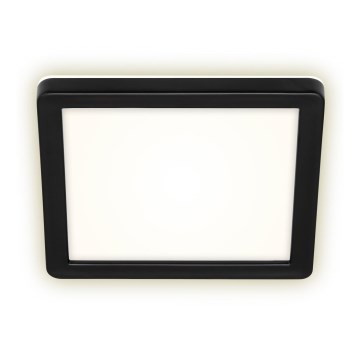 Briloner 3010-015 - LED loftlampe LED/8W/230V 19x19 cm sort IP44