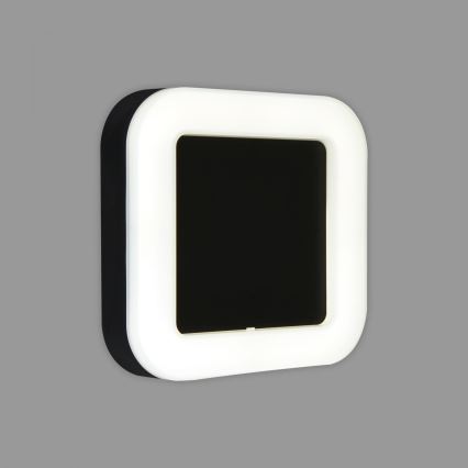 Briloner 3034-015 - Udendørs LED væglampe LED/15W/230V 4000K