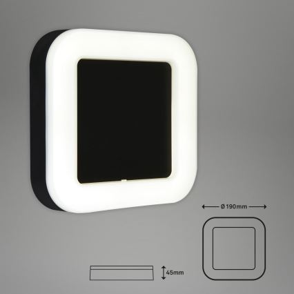 Briloner 3034-015 - Udendørs LED væglampe LED/15W/230V 4000K