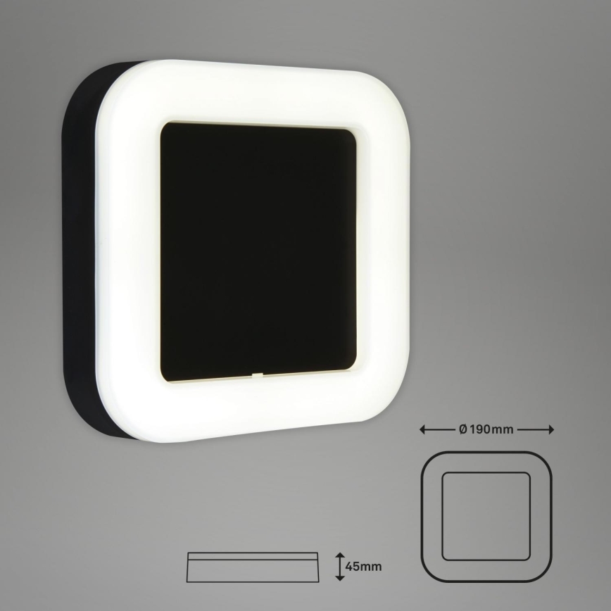 Briloner 3034-015 - Udendørs LED væglampe LED/15W/230V 4000K