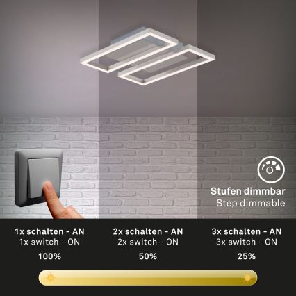 Briloner 3107-012 - LED loftlampe dæmpbar FRAME 2xLED/7,25W/230V