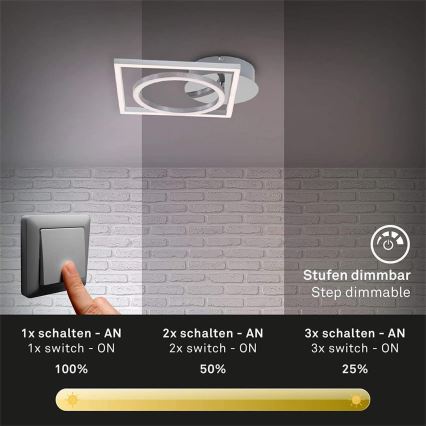 Briloner 3114-018 - LED loftlampe dæmpbar FRAME LED/19,6W/230V 3000K