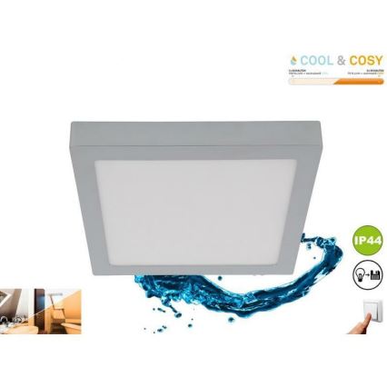 Briloner 3142-018 - LED loftlampe til badeværelse COOL&COSY LED/21W/230V 2700/4000K IP44