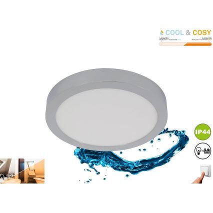 Briloner 3144-018 - LED loftlampe til badeværelse dæmpbar COOL&COSY LED/21W/230V 2700/4000K IP44