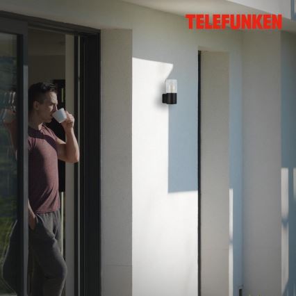 Briloner 320505TF - Udendørs væglampe 1xE27/12W/230V IP44 sort