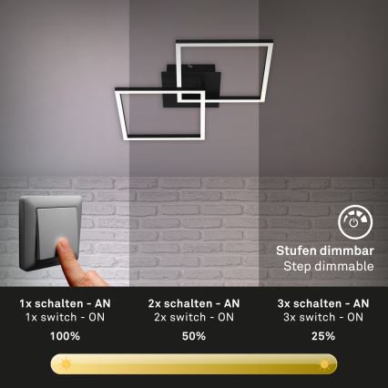 Briloner 3210-015 - LED loftlampe dæmpbar FRAME 2xLED/11W/230V sort